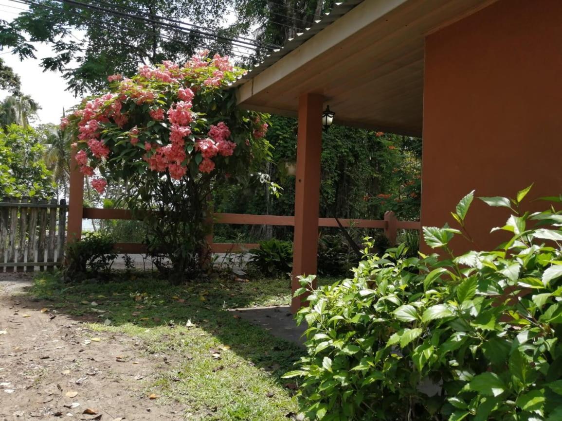 Cahuita Lodge 외부 사진
